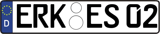 ERK-ES02