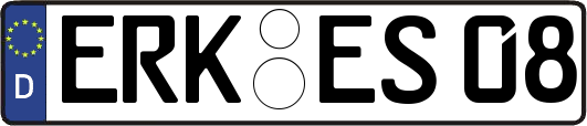 ERK-ES08