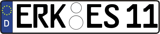 ERK-ES11