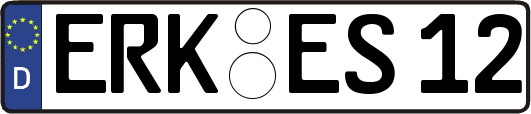 ERK-ES12
