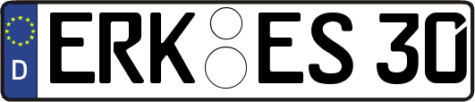 ERK-ES30
