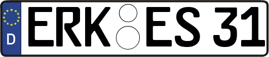 ERK-ES31
