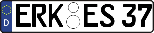 ERK-ES37