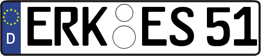 ERK-ES51