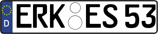 ERK-ES53