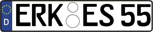 ERK-ES55