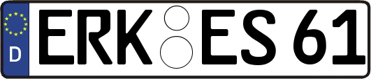 ERK-ES61