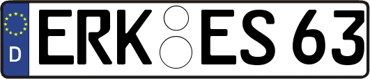 ERK-ES63