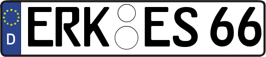 ERK-ES66