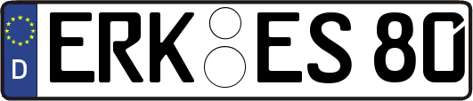 ERK-ES80