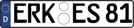 ERK-ES81