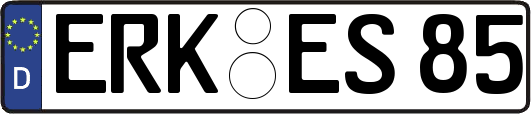 ERK-ES85