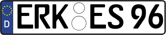 ERK-ES96