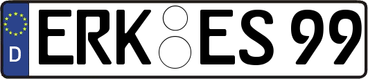 ERK-ES99
