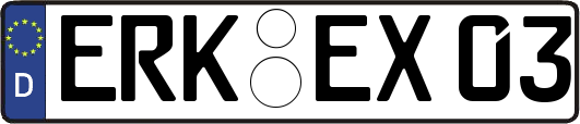 ERK-EX03