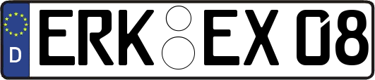 ERK-EX08