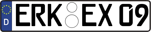 ERK-EX09