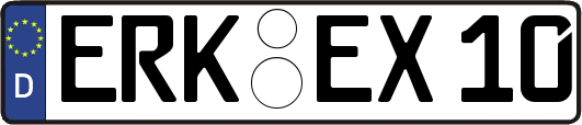 ERK-EX10