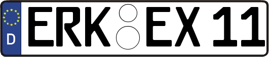 ERK-EX11