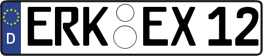 ERK-EX12