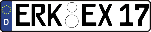 ERK-EX17