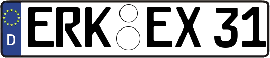 ERK-EX31