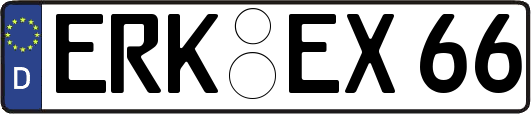 ERK-EX66