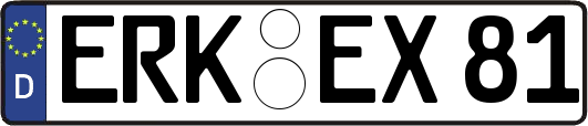 ERK-EX81