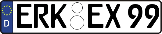 ERK-EX99