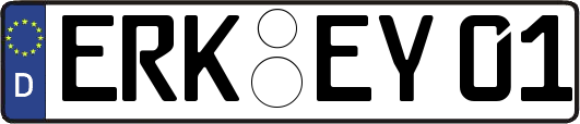 ERK-EY01