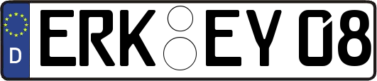 ERK-EY08