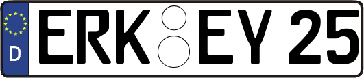 ERK-EY25