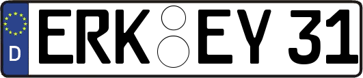 ERK-EY31