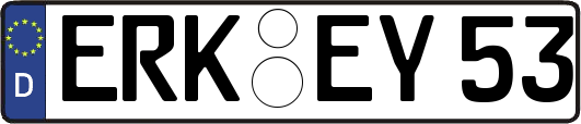 ERK-EY53