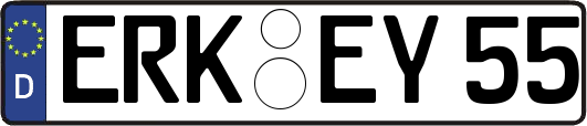 ERK-EY55