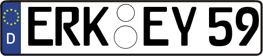 ERK-EY59