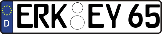 ERK-EY65