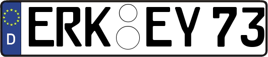 ERK-EY73