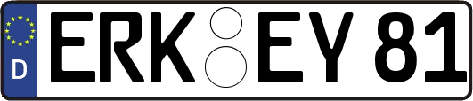 ERK-EY81