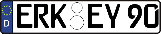 ERK-EY90