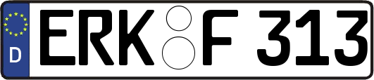 ERK-F313