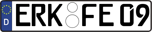 ERK-FE09