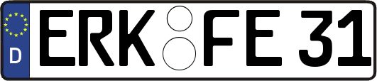 ERK-FE31