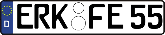 ERK-FE55