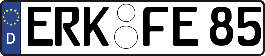 ERK-FE85