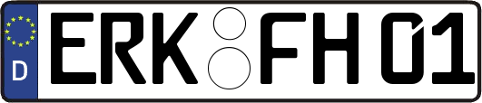 ERK-FH01