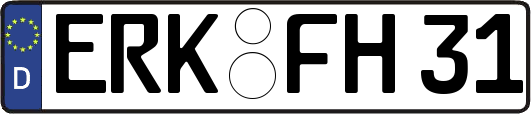 ERK-FH31