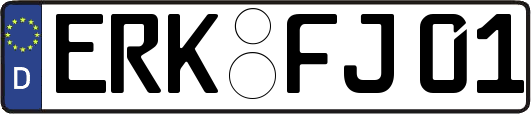 ERK-FJ01