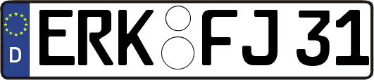 ERK-FJ31
