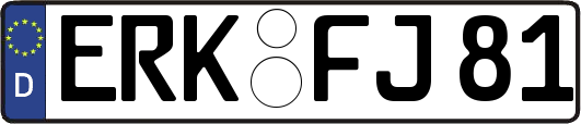 ERK-FJ81